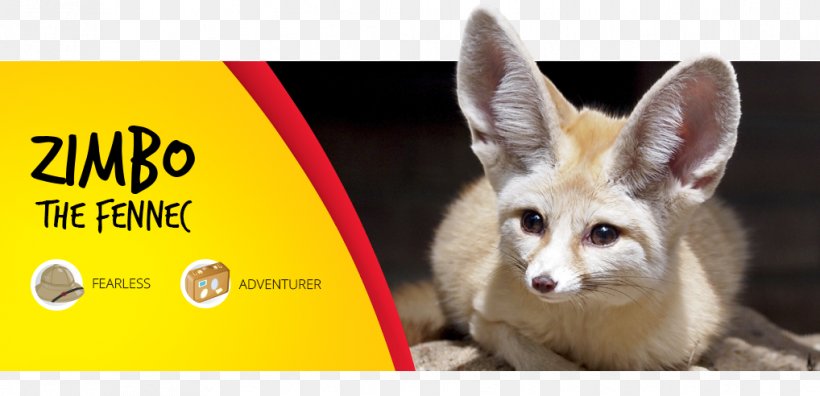 Fennec Fox Parc Safari Desert Adventurer Safari Park, PNG, 1018x492px, Fox, Animal, Canidae, Desert, Dog Like Mammal Download Free