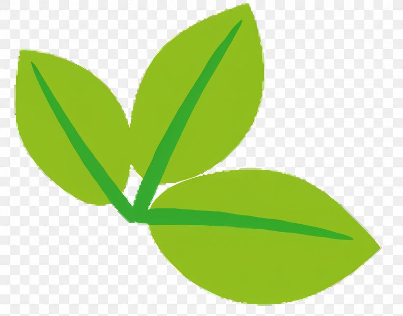 Green Leaf Logo, PNG, 1536x1208px, Leaf, Flower, Green, Logo, Plant Download Free