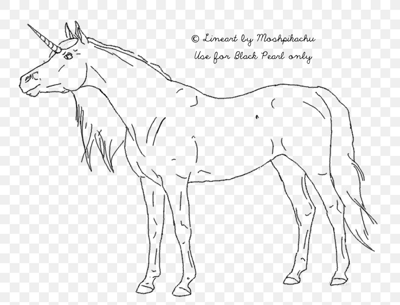 Horse Drawing Line Art Wiring Diagram, PNG, 807x626px, Horse, Animal Figure, Artwork, Black And White, Bridle Download Free