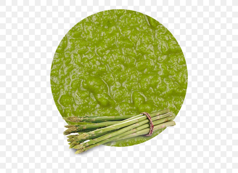 Leaf Vegetable Purée Asparagus Manufacturing, PNG, 536x595px, Leaf Vegetable, Asparagus, Discover Card, Fruit, Grass Download Free
