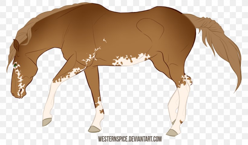 Mustang Foal Stallion Rein Colt, PNG, 1024x599px, Mustang, Animal Figure, Bridle, Colt, Foal Download Free