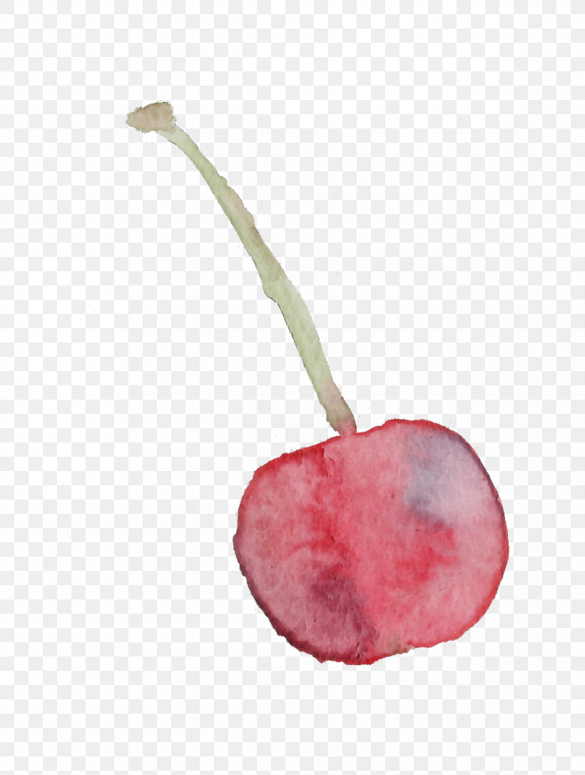 Pink Cherry Plant Flower Fruit, PNG, 2384x3160px, Watercolor Cherry, Anthurium, Cherry, Drupe, Flower Download Free