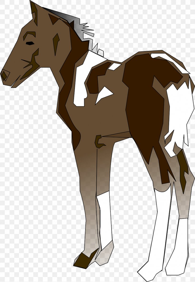 Pony Horse Foal Clip Art, PNG, 888x1280px, Pony, Art, Bridle, Colt, Equestrianism Download Free