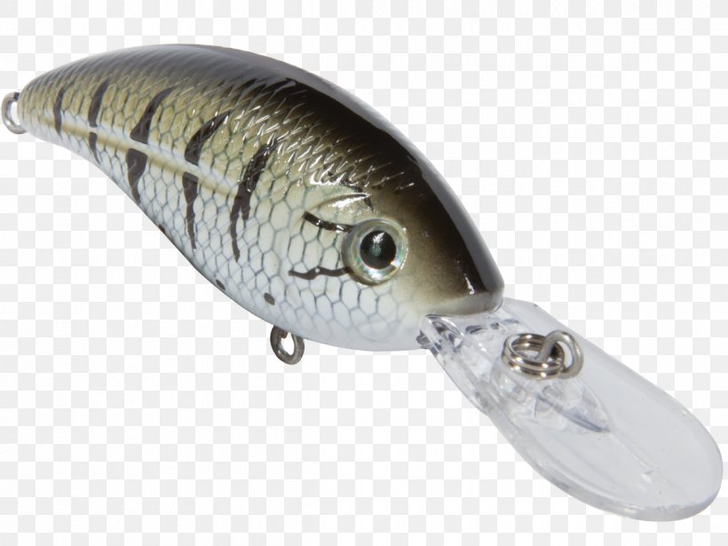 Spoon Lure Northern Pike Plug Fishing Tackle, PNG, 1200x900px, Spoon Lure, Bait, Bass, Esox, Fish Download Free