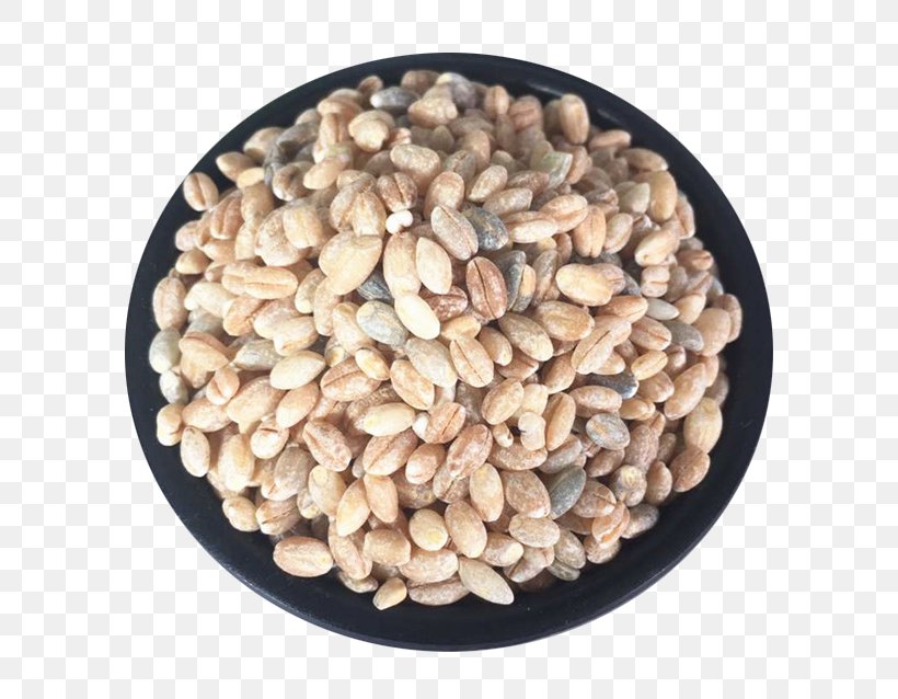 Tibetan Cuisine Tsampa Highland Barley Cereal, PNG, 640x638px, Tibetan Cuisine, Barley, Brown Rice, Caryopsis, Cereal Download Free