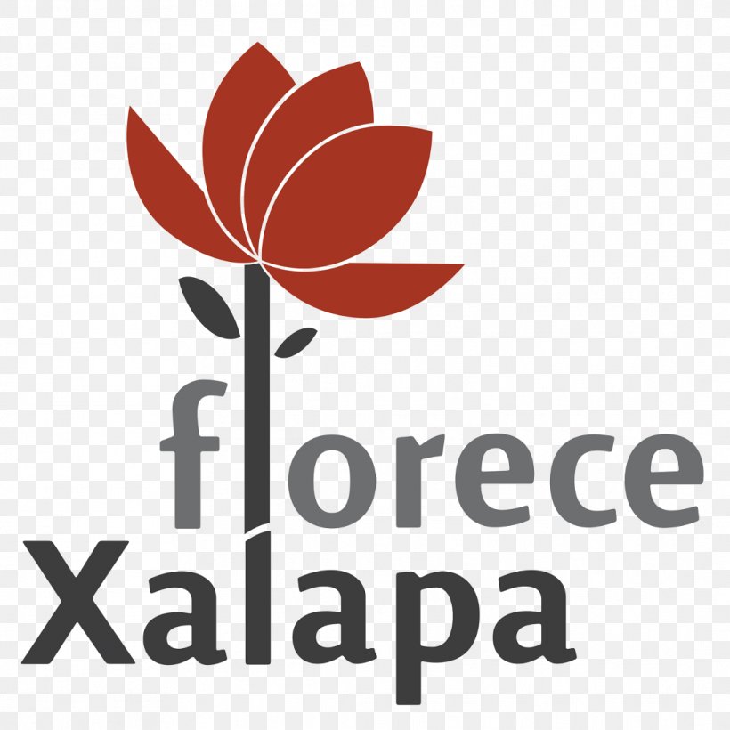 Ayuntamiento De Xalapa Logo H. Ayuntamiento Dif Almacen De El Ayuntamiento Municipio De Xalapa, PNG, 1088x1088px, Logo, Area, Brand, Dif, Flower Download Free