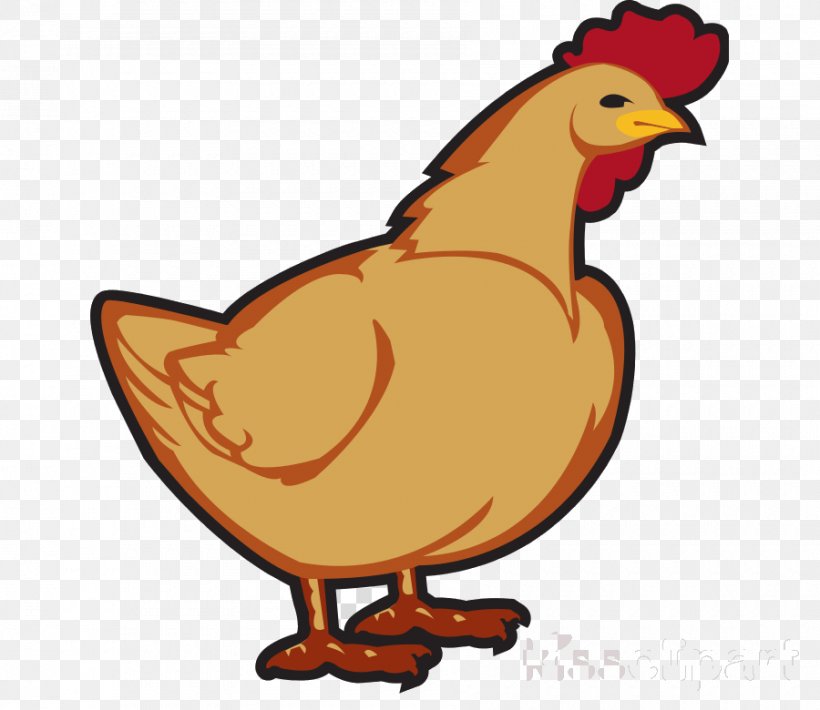 Chicken Bird Rooster Cartoon Beak, PNG, 900x780px, Chicken, Beak, Bird, Cartoon, Livestock Download Free