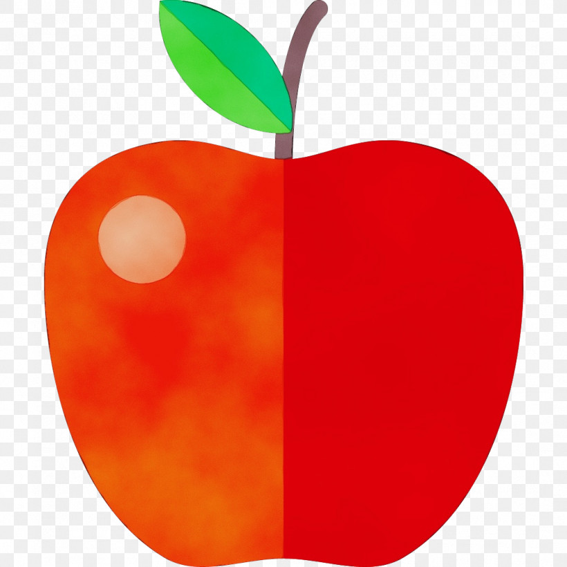 Orange, PNG, 1067x1067px, Watercolor, Apple, Drupe, Food, Fruit Download Free