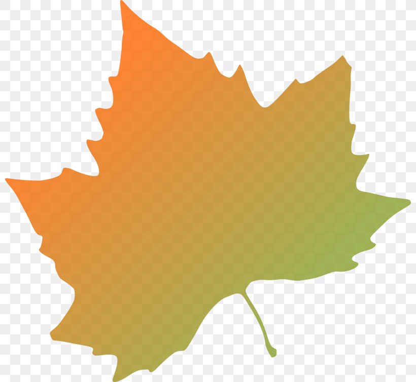 Autumn Leaf Color Clip Art, PNG, 800x754px, Autumn Leaf Color, Autumn, Drawing, Flowering Plant, Green Download Free