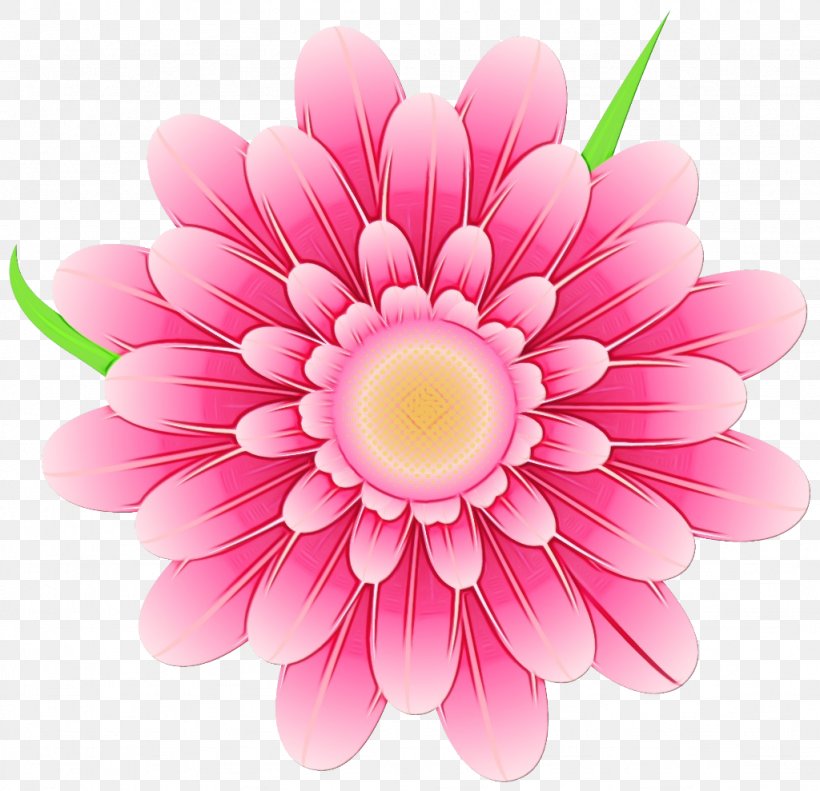 Flowers Background, PNG, 1024x989px, Dahlia, Barberton Daisy, Chrysanthemum, Cut Flowers, Daisy Download Free