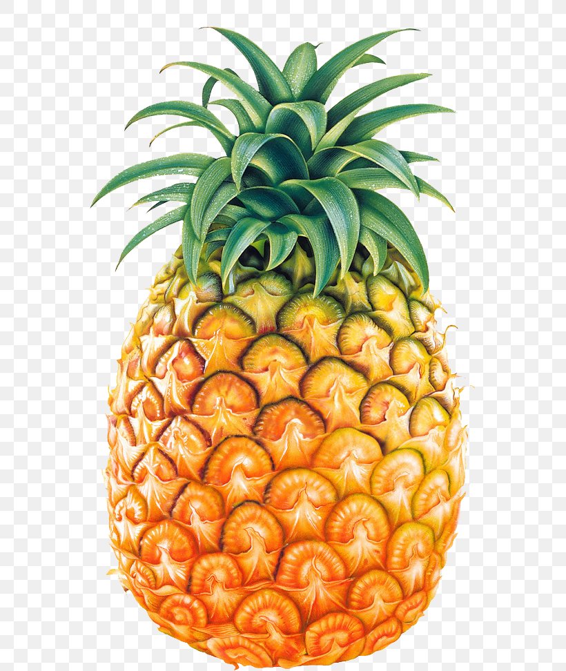 Pineapple Clip Art, PNG, 559x972px, Pineapple, Ananas, Bromeliaceae, Document, Food Download Free