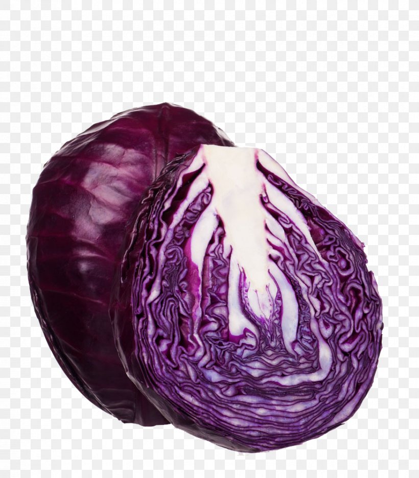 Red Cabbage Vegetable Purple, PNG, 876x1000px, Red Cabbage, Brassica Oleracea, Cabbage, Food, Ingredient Download Free