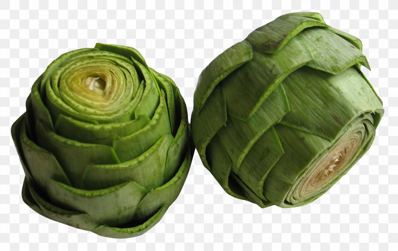 Artichoke Vegetable, PNG, 1642x1036px, Artichoke, Asparagus, Bean, Beetroot, Bok Choy Download Free