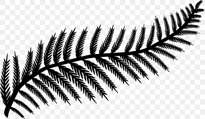 Fern Frond Leaf Clip Art, PNG, 2314x1350px, Fern, Black And White, Branch, Burknar, Close Up Download Free