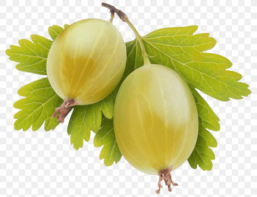 Indian Food, PNG, 800x628px, Gooseberry, Berries, Blackcurrant, Cape Gooseberry, Currant Download Free