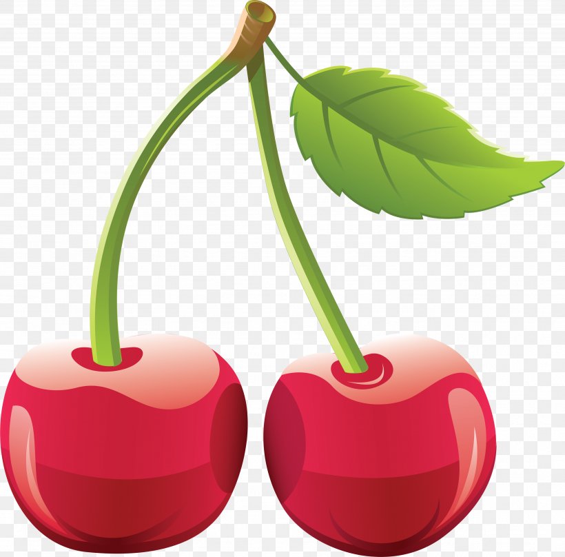Cherry Clip Art, PNG, 3553x3504px, Cherry, Clip Art, Flowering Plant, Food, Fruit Download Free
