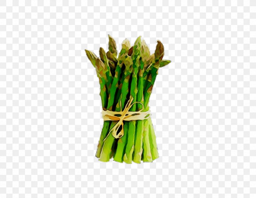 Commodity Green Bean Scallion Asparagus, PNG, 1086x840px, Commodity, Asparagus, Chives, Flower, Flowering Plant Download Free