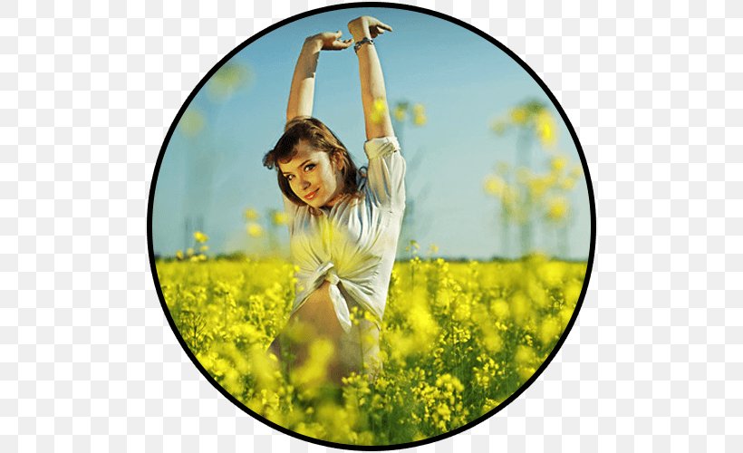 Forgiveness Happiness Prosperity Video Soul, PNG, 500x500px, Forgiveness, Canola, Crisis, Death, Flower Download Free