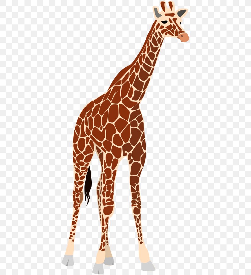 Giraffe Okapi Lion Clip Art, PNG, 421x900px, Giraffe, Elephant, Fauna, Free Content, Giraffidae Download Free