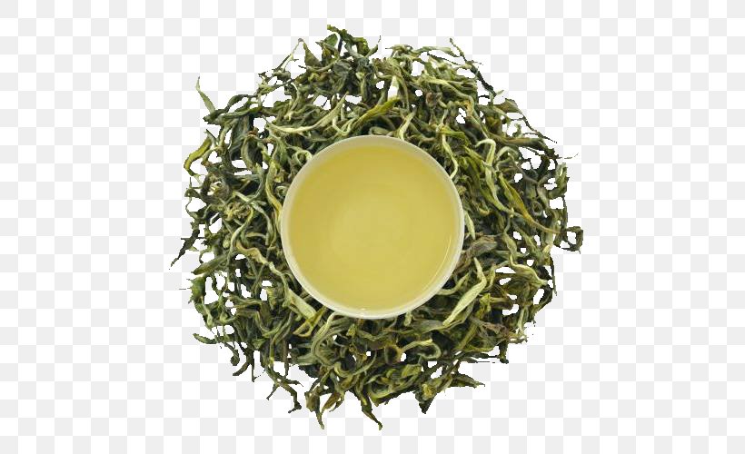 Gyokuro White Tea Oolong Nilgiri Tea, PNG, 500x500px, Gyokuro, Assam Tea, Bai Mudan, Baihao Yinzhen, Bancha Download Free