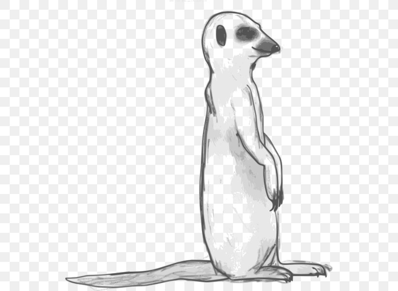 Meerkat Black And White Clip Art, PNG, 552x600px, Meerkat, Art, Beak, Bird, Black And White Download Free