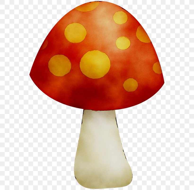 Lamp Shades Orange S.A. Table, PNG, 579x800px, Lamp Shades, Lamp, Lampshade, Lighting Accessory, Mushroom Download Free