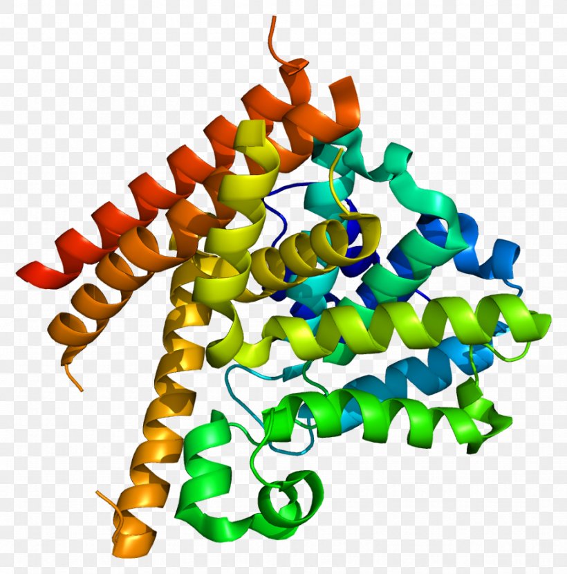 Phosphodiesterase Inhibitor Fosfodiesterasa 1 Cyclic Adenosine Monophosphate Enzyme, PNG, 923x935px, Phosphodiesterase, Animal Figure, Calmodulin, Catalysis, Cyclic Adenosine Monophosphate Download Free
