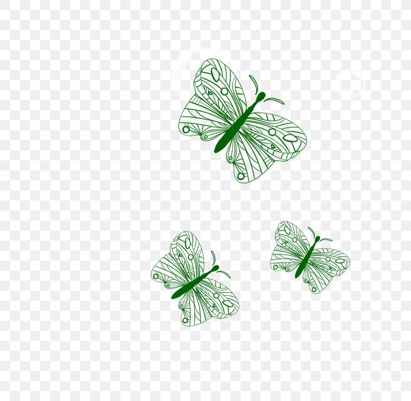 Butterfly Papua New Guinea Drawing, PNG, 800x800px, Butterfly, Daily, Drawing, Green, Insect Download Free