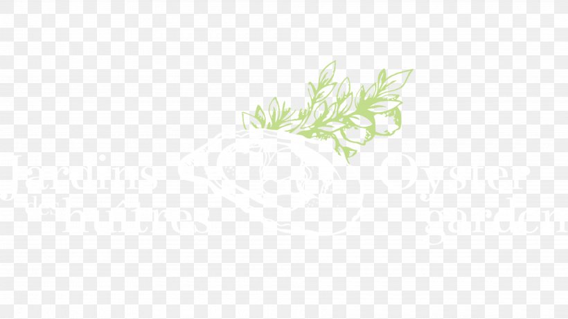 Desktop Wallpaper Grasses Leaf Plant Stem Font, PNG, 3840x2160px, Grasses, Branch, Computer, Family, Grass Download Free