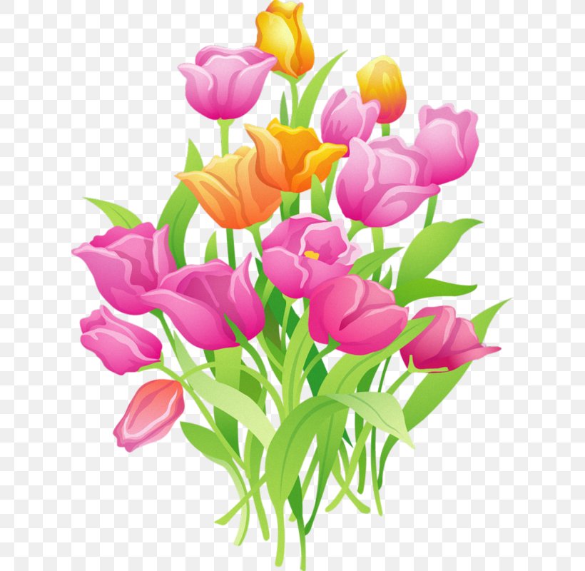 Flower Tulip Clip Art, PNG, 620x800px, Flower, Animation, Artificial Flower, Cut Flowers, Drawing Download Free