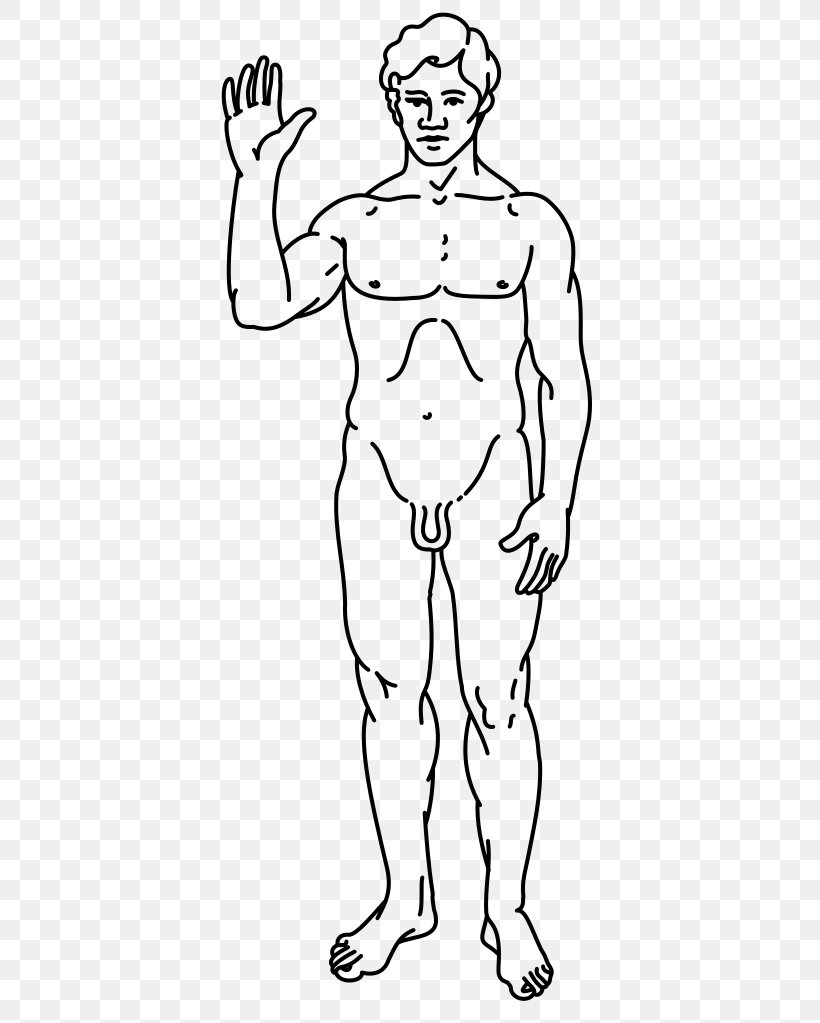 Pioneer Plaque Homo Sapiens Male Man Pioneer Program, PNG, 403x1023px, Watercolor, Cartoon, Flower, Frame, Heart Download Free