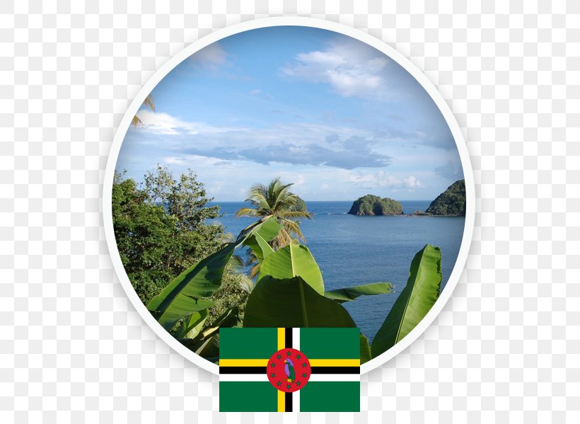 Dominica Saint Lucia Martinique Island Grenada, PNG, 595x599px, Dominica, Antigua And Barbuda, Caribbean, Caribbean Sea, Energy Download Free
