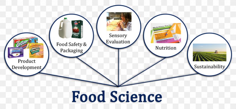 Food Science Technology Scientist, PNG, 908x420px, Food Science, Aeronautics, Agricultural Science, Agriculture, Area Download Free