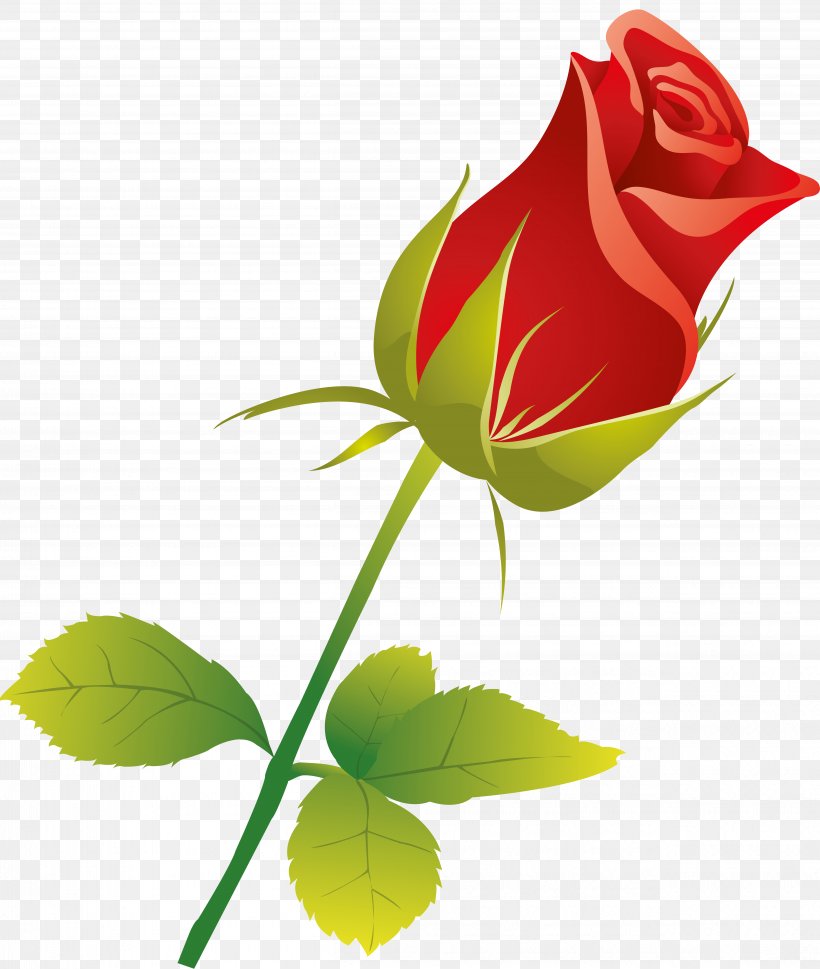 Garden Roses, PNG, 5037x5954px, Garden Roses, Blue, Bud, Color, Flower Download Free