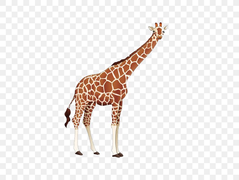 Giraffe Cartoon, PNG, 584x618px, Giraffe, Cartoon, Cmyk Color Model, Color, Giraffidae Download Free