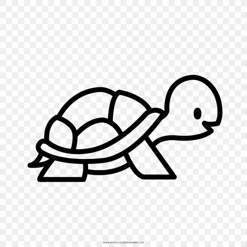 Turtle Coloring Book Drawing Clip Art, PNG, 1000x1000px, Turtle, Animal, Area, Artwork, Ausmalbild Download Free