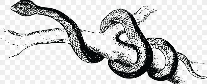 Venomous Snake Pit Viper Reptile Clip Art, PNG, 4000x1637px, Snake, Animal, Animal Figure, Art, Artwork Download Free