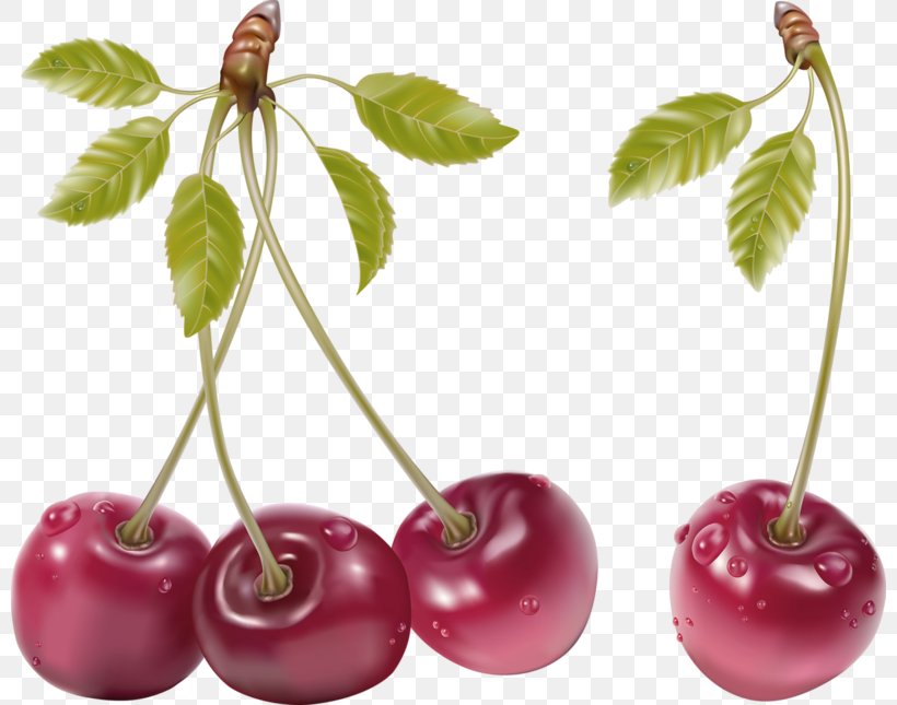 Fruit Cherry Clip Art, PNG, 800x645px, Fruit, Apple, Banana, Berry, Cherry Download Free