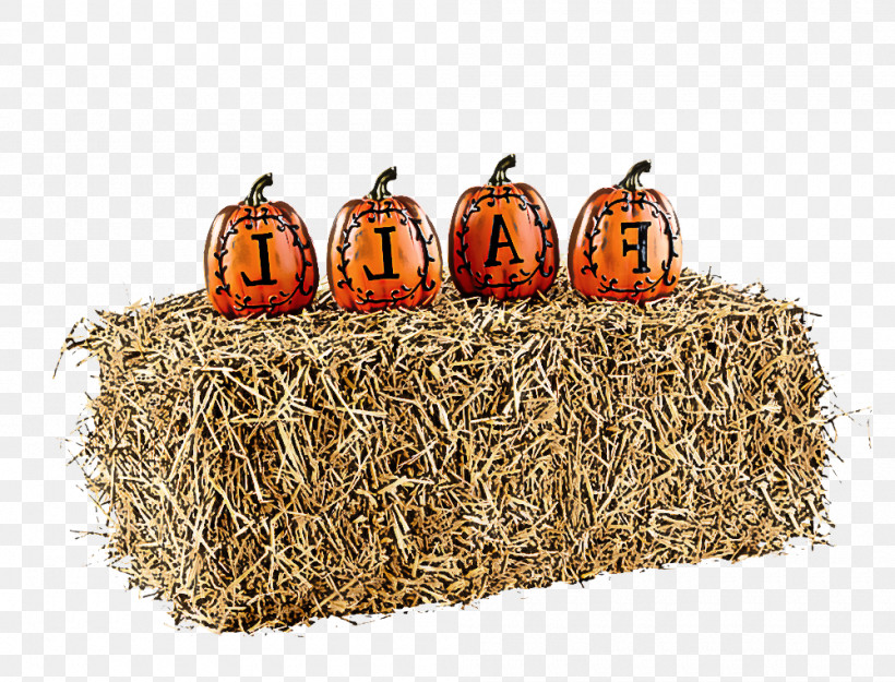 Pumpkin, PNG, 1000x763px, Pumpkin, Hay, Plant, Straw, Wicker Download Free