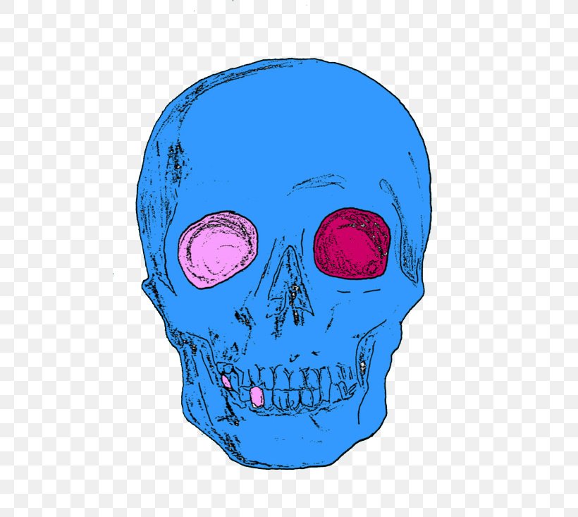 Skull Human Skeleton Homo Sapiens, PNG, 500x733px, Skull, Art, Bone, Electric Blue, Head Download Free