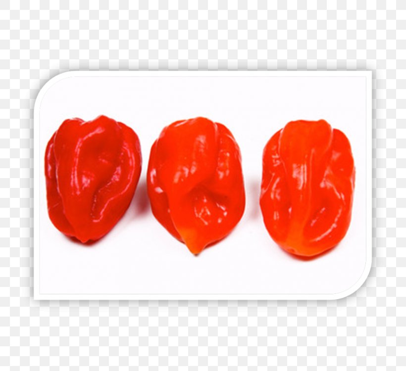 Stuffed Peppers Chili Pepper Bell Pepper Paprika Espelette Pepper, PNG, 750x750px, Stuffed Peppers, Allspice, Bell Pepper, Bell Peppers And Chili Peppers, Capsicum Annuum Download Free