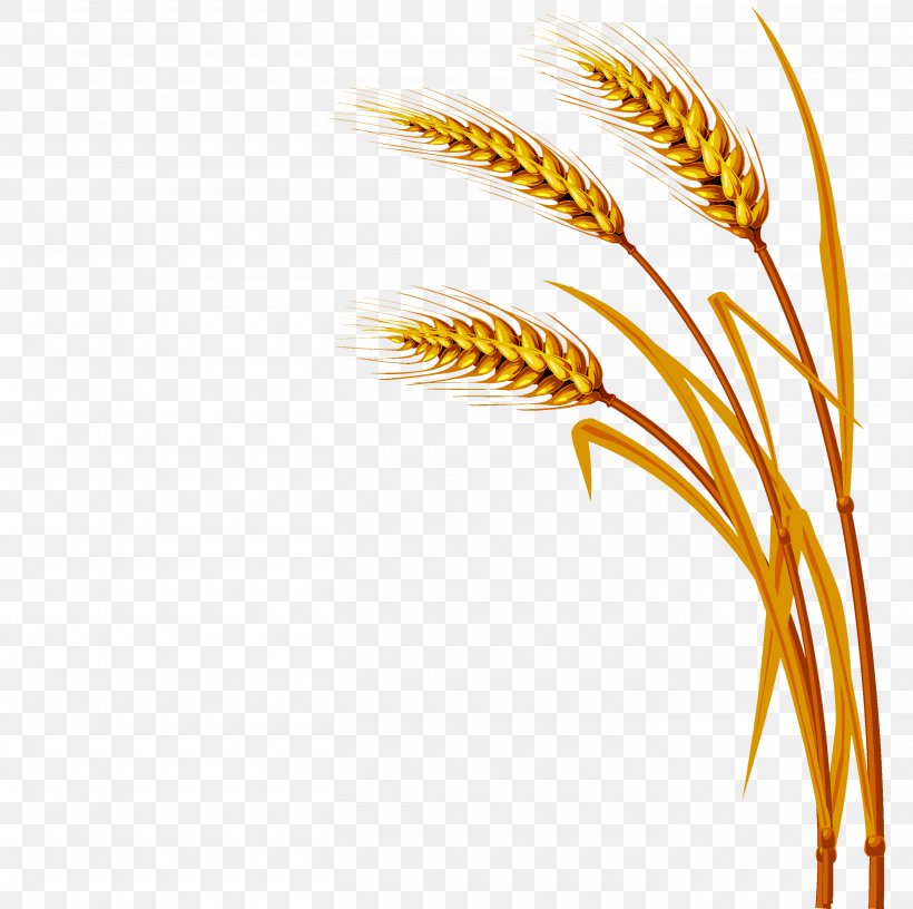 Wheat Royalty-free Clip Art, PNG, 2820x2807px, Wheat, Agriculture, Cereal, Commodity, Ear Download Free