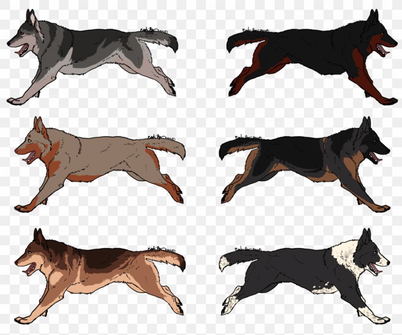 Dog Breed Fauna Wildlife, PNG, 1024x853px, Dog Breed, Breed, Carnivoran, Dog, Dog Breed Group Download Free