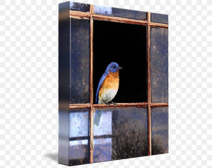 Eastern Bluebird Mountain Bluebird Bluebird Of Happiness Window, PNG, 497x650px, Bird, Animal, Art, Beak, Bird Nest Download Free