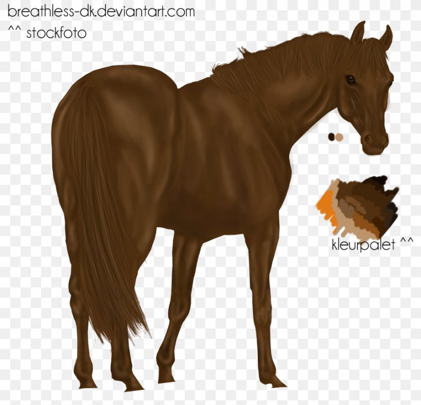 Mustang Mare Foal Stallion Halter, PNG, 900x866px, Mustang, Bridle, Colt, Foal, Halter Download Free