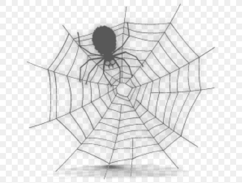 Spider Web Clip Art, PNG, 665x622px, Spider, Arachnid, Area, Art, Artwork Download Free