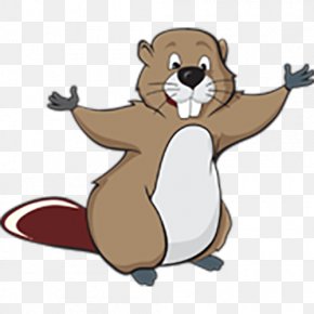 Tusk Beaver - Beaver Cartoon Drawing Clip Art PNG
