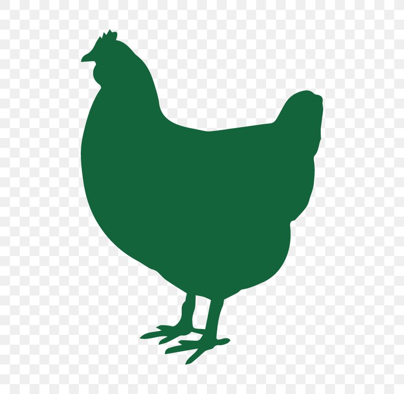 Chicken Free-range Eggs Sign Farm, PNG, 800x800px, Chicken, Beak, Bird, Chicken As Food, Chicken Coop Download Free