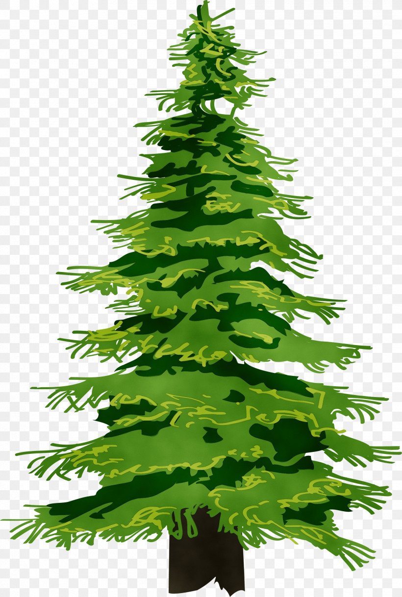 Christmas Tree, PNG, 2019x3000px, Watercolor, Artist, Christmas Fir Tree, Christmas Tree, Conifers Download Free