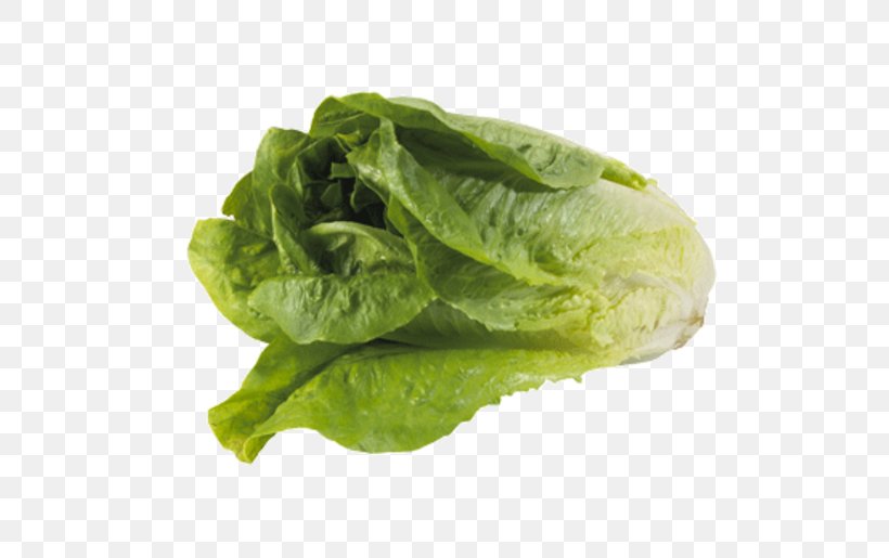 Romaine Lettuce Spinach Chard Leaf Lettuce Vegetable, PNG, 515x515px, Romaine Lettuce, Cabbage, Chard, Collard Greens, Cultivar Download Free